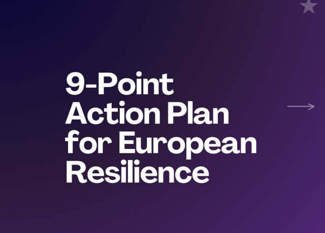 Volt Europa's Action Plan