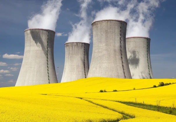 Flower fields with nuclear plants in the background