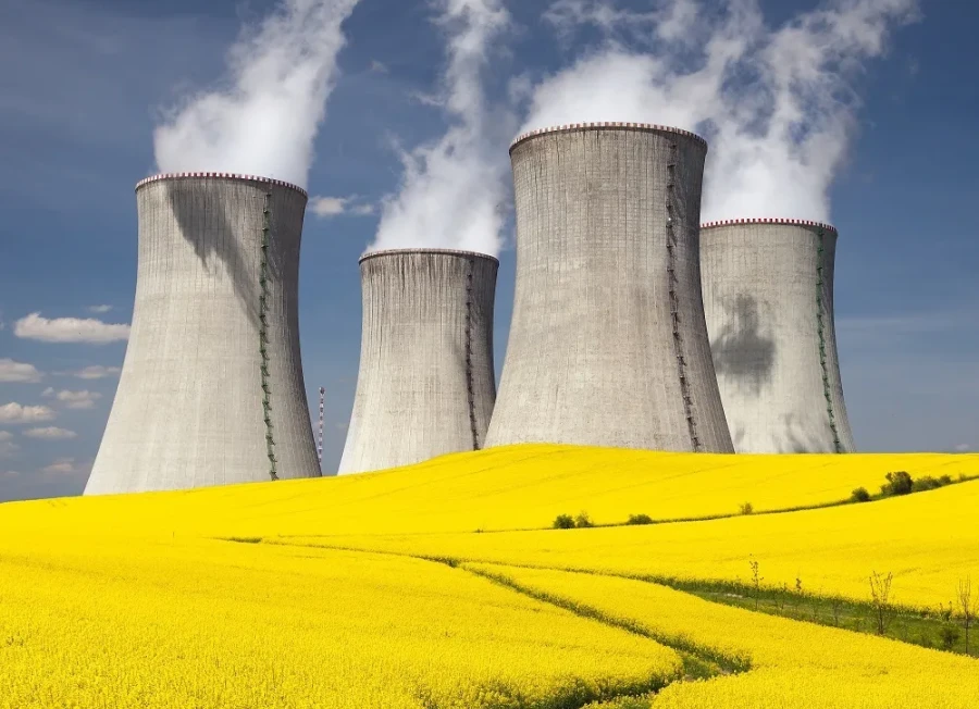 Flower fields with nuclear plants in the background