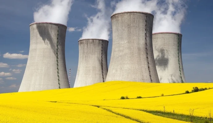 Flower fields with nuclear plants in the background