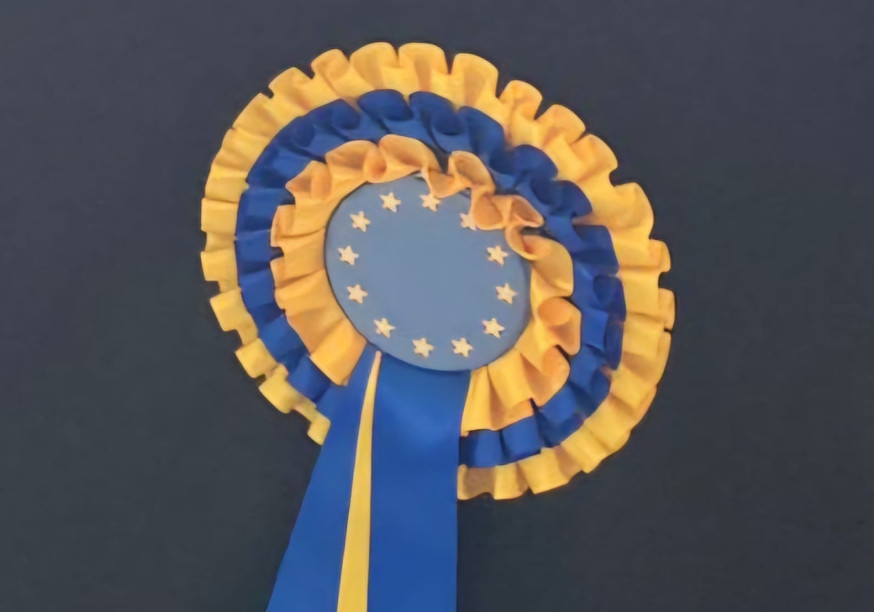 Rosette with an EU flag in the centre